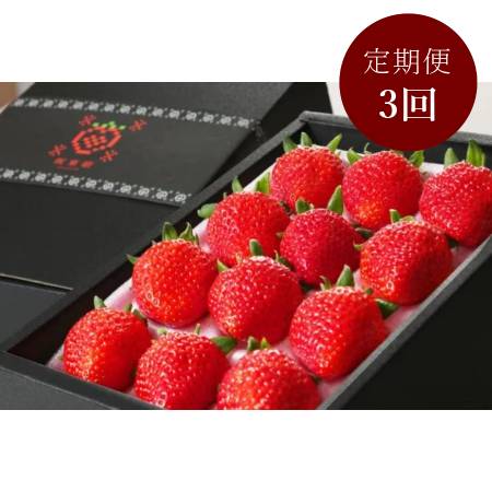 坂東太郎オリジナルブランドいちご[坂東姫]12粒×2箱 [3回定期便]※1月〜3月発送