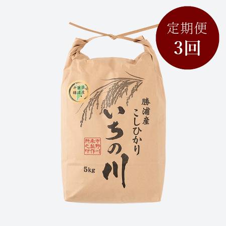 [いちの川]千葉県勝浦産コシヒカリ5kg定期便 3カ月コース