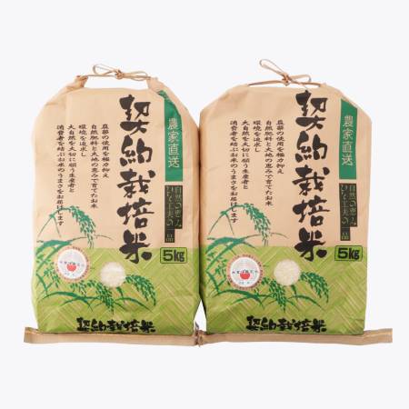千葉県産契栽培米コシヒカリ10kg