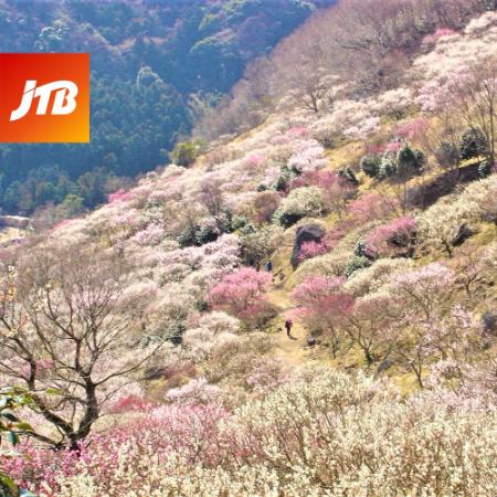 [JTB]湯河原町 JTBふるさと旅行クーポン(Eメール発行)(150万円分)