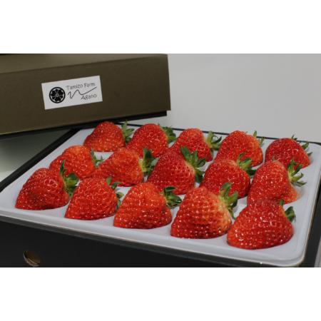 [民蔵･ふぁーむ]民蔵･ふぁーむの越後姫約400g(12粒〜15粒)