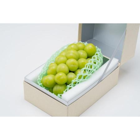 シャインマスカット1房600g(580〜650g)