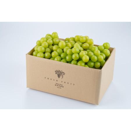 ご自宅用シャインマスカット2kg