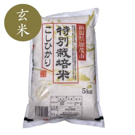 加茂有機米生産組合の作った特別栽培米コシヒカリ 玄米 5kg