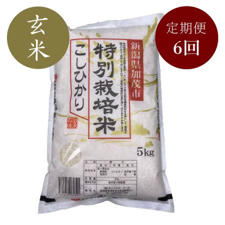 [定期便]加茂有機米生産組合の作った特別栽培米コシヒカリ 玄米 5kg×6回お届け