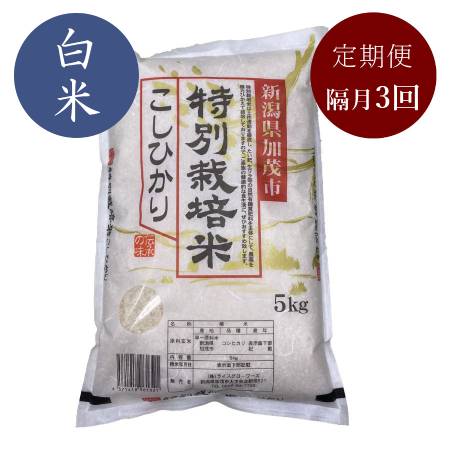 [定期便]加茂有機米生産組合の作った特別栽培米コシヒカリ 白米 5kg×隔月3回お届け