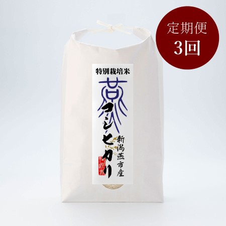 特別栽培米燕市産コシヒカリ5kg 定期便3回