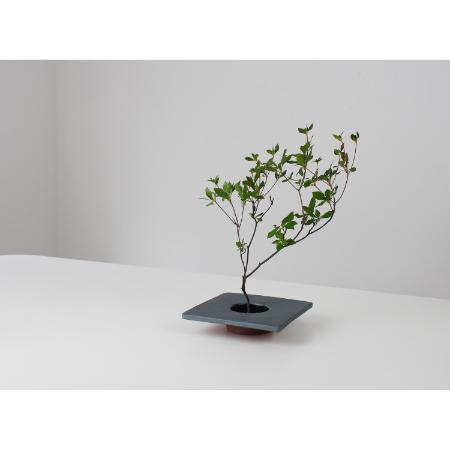 [MYK]KENZAN - rei / kaku