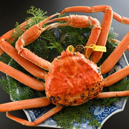 [越前 蟹の本陣]福井県が誇るブランド蟹 浜茹で[越前がに 極]