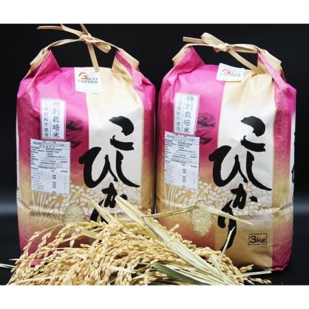 [令和7年産新米]山梨県都留市産 こしひかり3kg×2