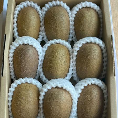 [果実園オガサハラ]特選キウイフルーツ1.2kg(9個〜11個)