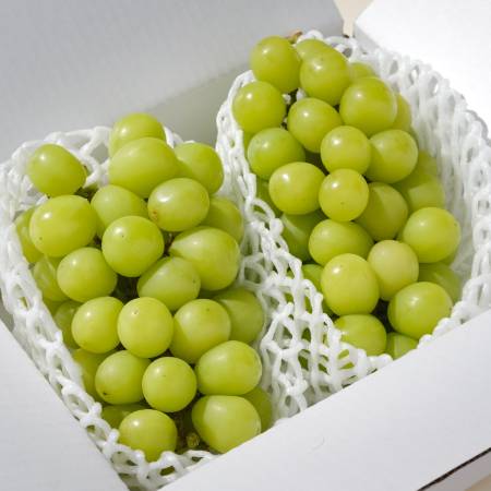 [Bonchi]シャインマスカット2房入(約1.1kg)