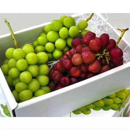 超希少種マイハート1房&シャインマスカット2-3房 計1.8kg相当