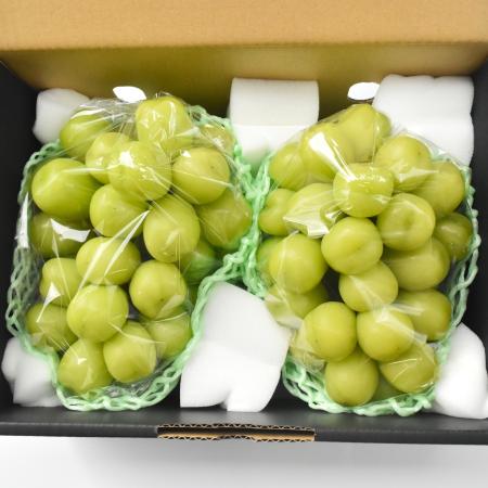 特選シャインマスカット2.0kg