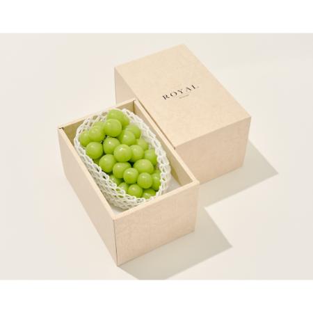 [Bonchi]甲州市産 大粒シャインマスカット1房入り 700g 自然農法