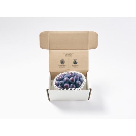 [Bonchi]甲州市産 種無し大粒ピオーネ1房入り 550g 自然農法