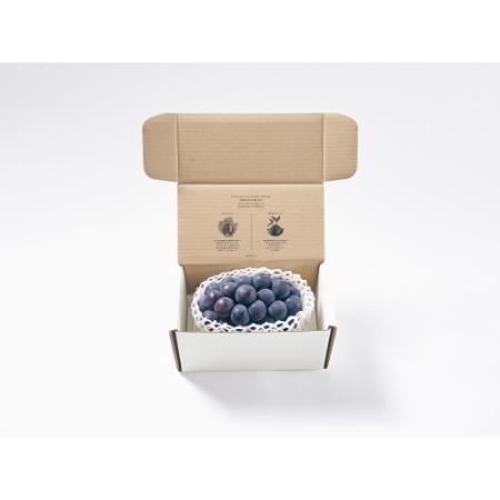 [Bonchi]甲州市産 種無し大粒巨峰 1房入り 500g 自然農法