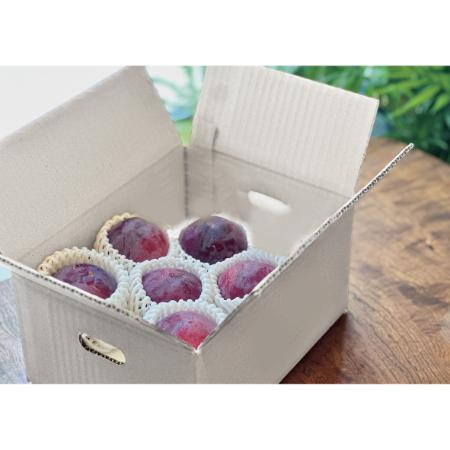 [Bonchi]甲州市産 貴陽 1kg(5〜7個入) 自然農法