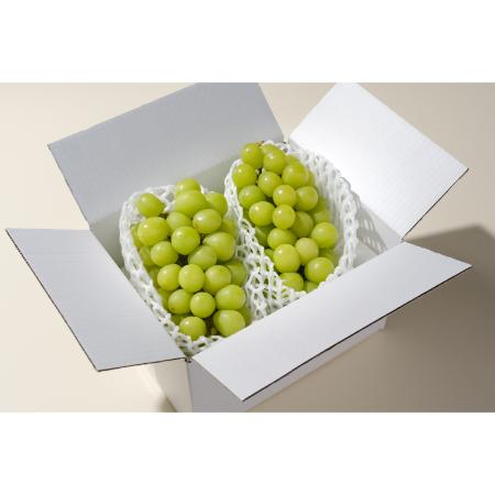[Bonchi]甲州市産 シャインマスカット 2房入(1.1kg) 自然農法