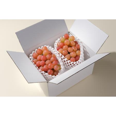 [Bonchi]甲州市産サンシャインレッド2房入(1.1kg)自然農法