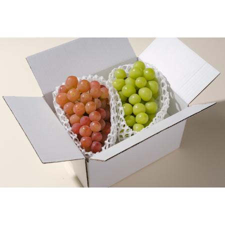 [Bonchi]甲州市産 シャインマスカット&サンシャインレッド 2房入(1.1kg) 自然農法