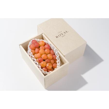 [Bonchi]甲州市産 大粒サンシャインレッド1房入630g自然農法