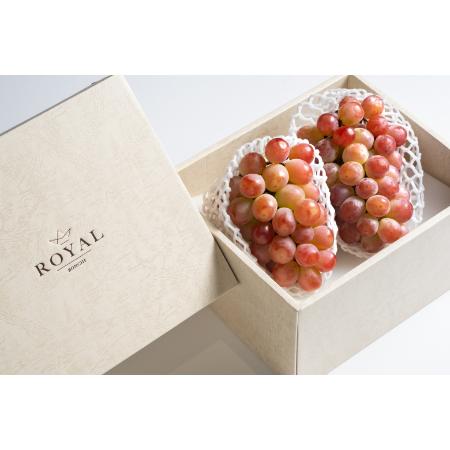 [Bonchi]甲州市産 大粒サンシャインレッド 2房入(630g相当/房) 自然農法