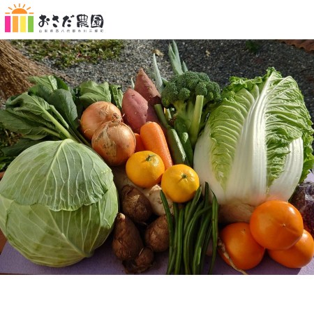 [おさだ農園]冬野菜たっぷりBOX 10kg (7品目以上)