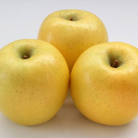 [匠フルーツ]シナノゴールド5kg(11〜18個)