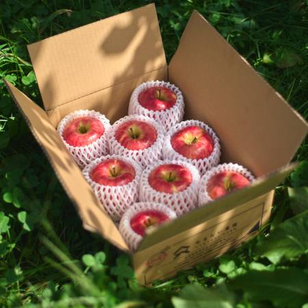 [やまだい農園]減農薬栽培 信州産最高級品3kg[サンふじ](三越伊勢丹選定)