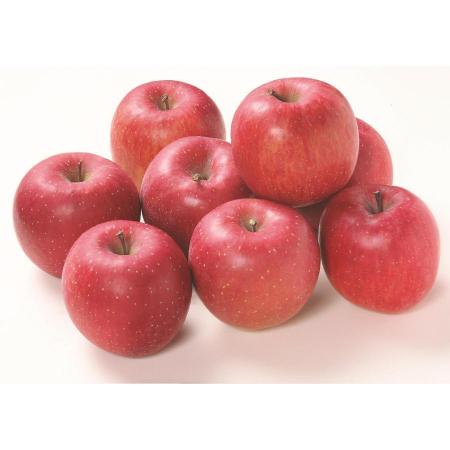 [エムアイフードスタイル]十八塚りんご サンふじりんご優品 5kg(16〜20個)