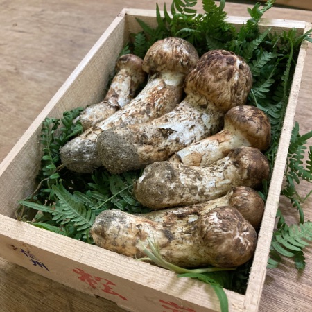 松茸300g