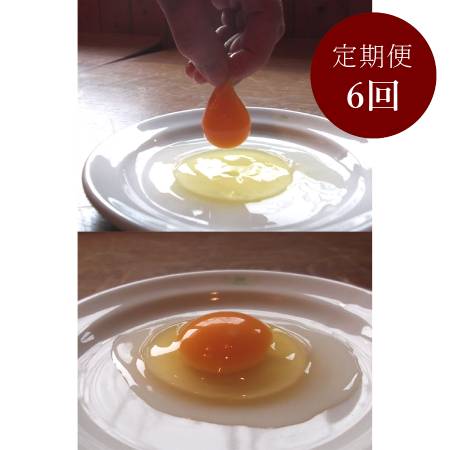 [森のたまご農園]「平飼い卵」24個[6ヵ月定期便]