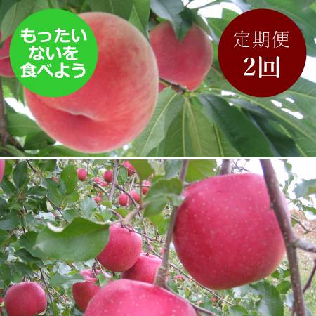 [もったいない!を食べよう]飛騨産桃(品種おまかせ)&りんご(品種おまかせ)2回定期便