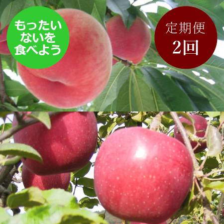 [もったいない!を食べよう]飛騨産桃(品種おまかせ)&りんご(品種おまかせ)2回定期便