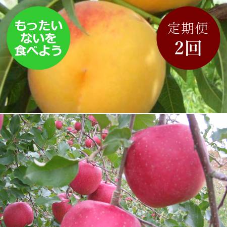 [もったいない!を食べよう]飛騨産桃(品種おまかせ)&りんご(ふじ)2回定期便