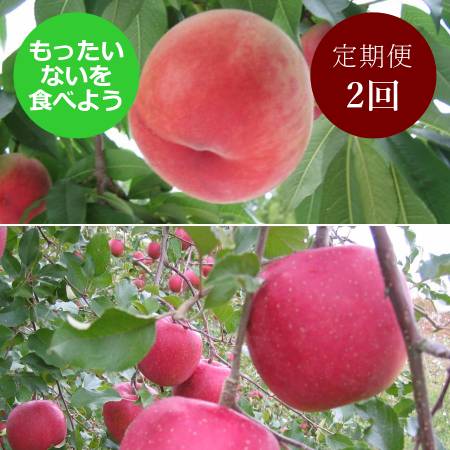 [もったいない!を食べよう]飛騨産桃(品種おまかせ)&りんご(ふじ)2回定期便
