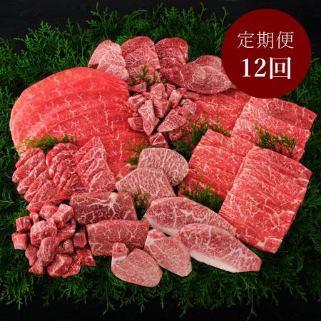 [丸小本店]「飛騨牛」A5等級『ヒレ・シャトーブリアン』&赤身[12ヵ月定期便]