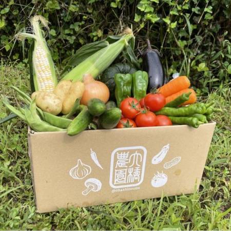 [大橋農園]“朝採れ“「旬の野菜セット」12品目2〜4人用