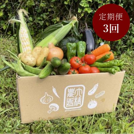 [大橋農園]“朝採れ“「旬の野菜セット」12品目2〜4人用[3ヵ月定期便]