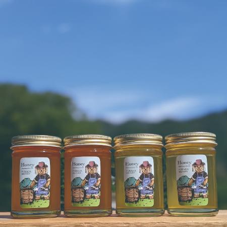 [深田養蜂]深田養蜂の天然蜂蜜 国産の非加熱生はちみつ 味比べ4本セット 230g×4本