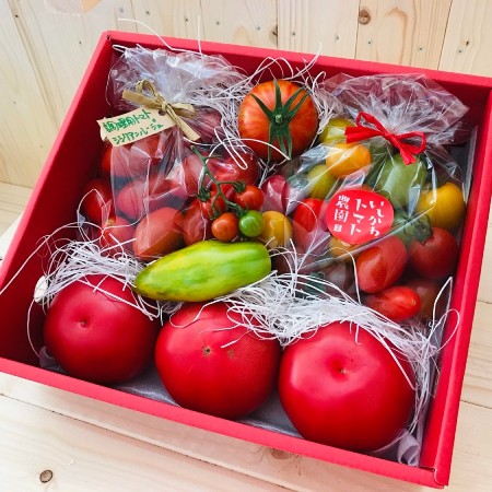 [石川農園]トマトの宝石箱2kg
