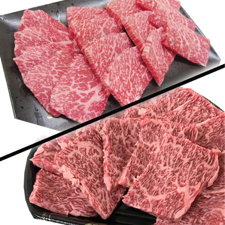 岐阜県産 [A5等級]飛騨牛 希少部位焼肉セット