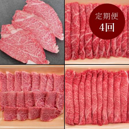 [飛騨牛 肉のひぐち]「飛騨牛」A4等級以上『ヒレ&希少赤身』[4ヵ月定期便]