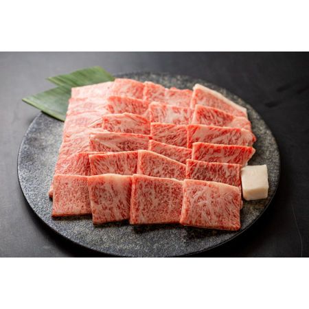 [肉の沖村]A5等級「飛騨牛」焼き肉用(ロース)500g