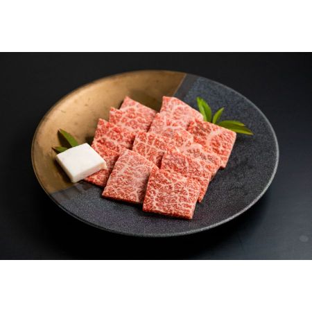 [肉の沖村]A5等級「飛騨牛」赤身焼き肉用(ももorうで)500g