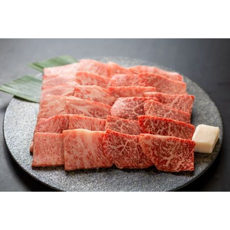 [肉の沖村]A5等級「飛騨牛」焼き肉用2種(ロース・ももorうでももorうで)各250g(計500g)