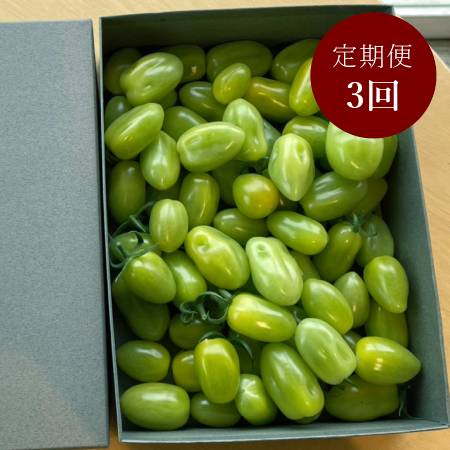 [細野ファーム]「グリーンスピカ」800g[3ヵ月定期便]