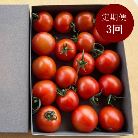 [細野ファーム]「フルティカ」800g[3ヵ月定期便]