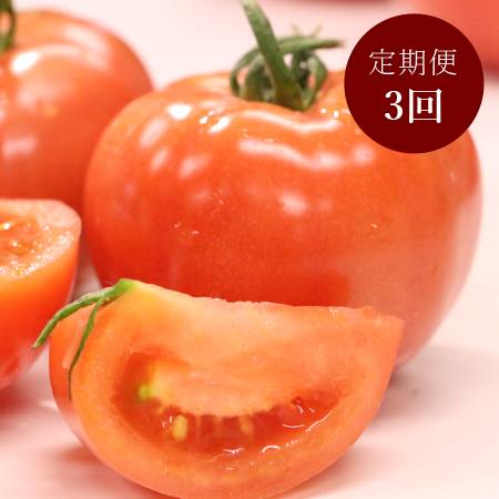 [細野ファーム]大玉トマト2kg[3ヵ月定期便]